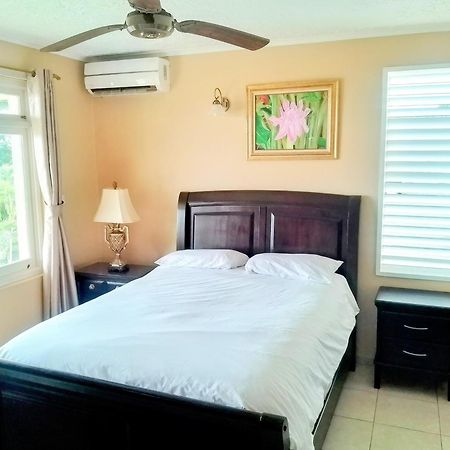 Ocho Rios 2 Bedroom Apartment/Flat מראה חיצוני תמונה